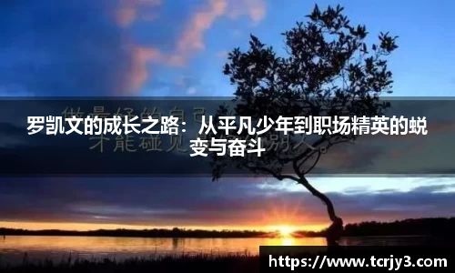 完美体育登录入口