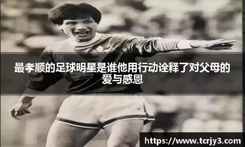 完美体育登录入口