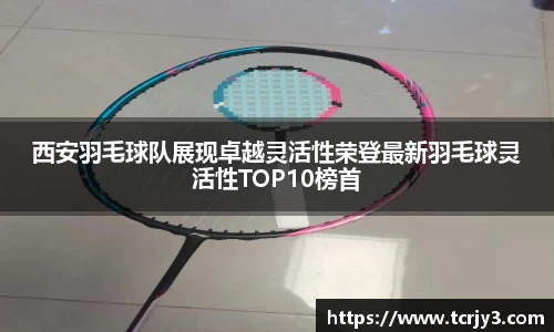 完美体育登录入口